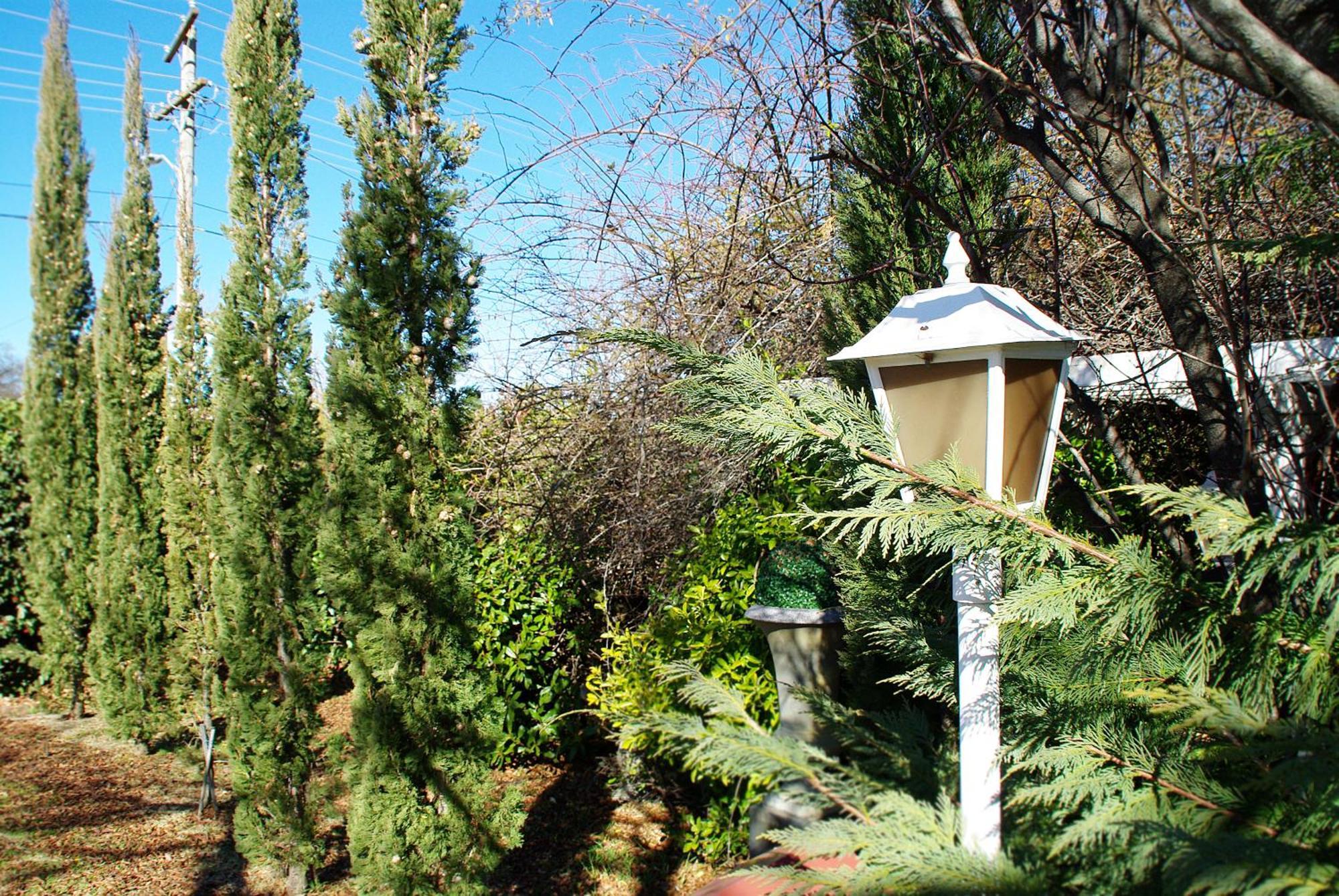 White Lanterns Motel Armidale Extérieur photo